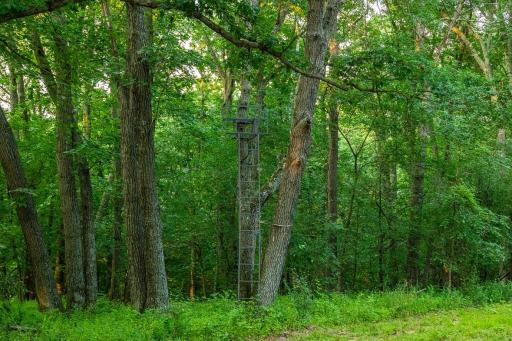 0 Co Rd S, Blair, WI 54616