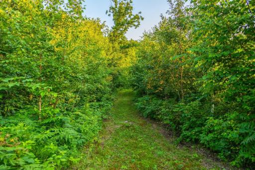 0 Co Rd S, Blair, WI 54616