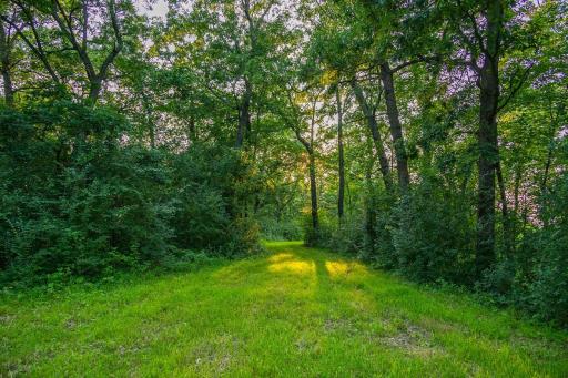 0 Co Rd S, Blair, WI 54616
