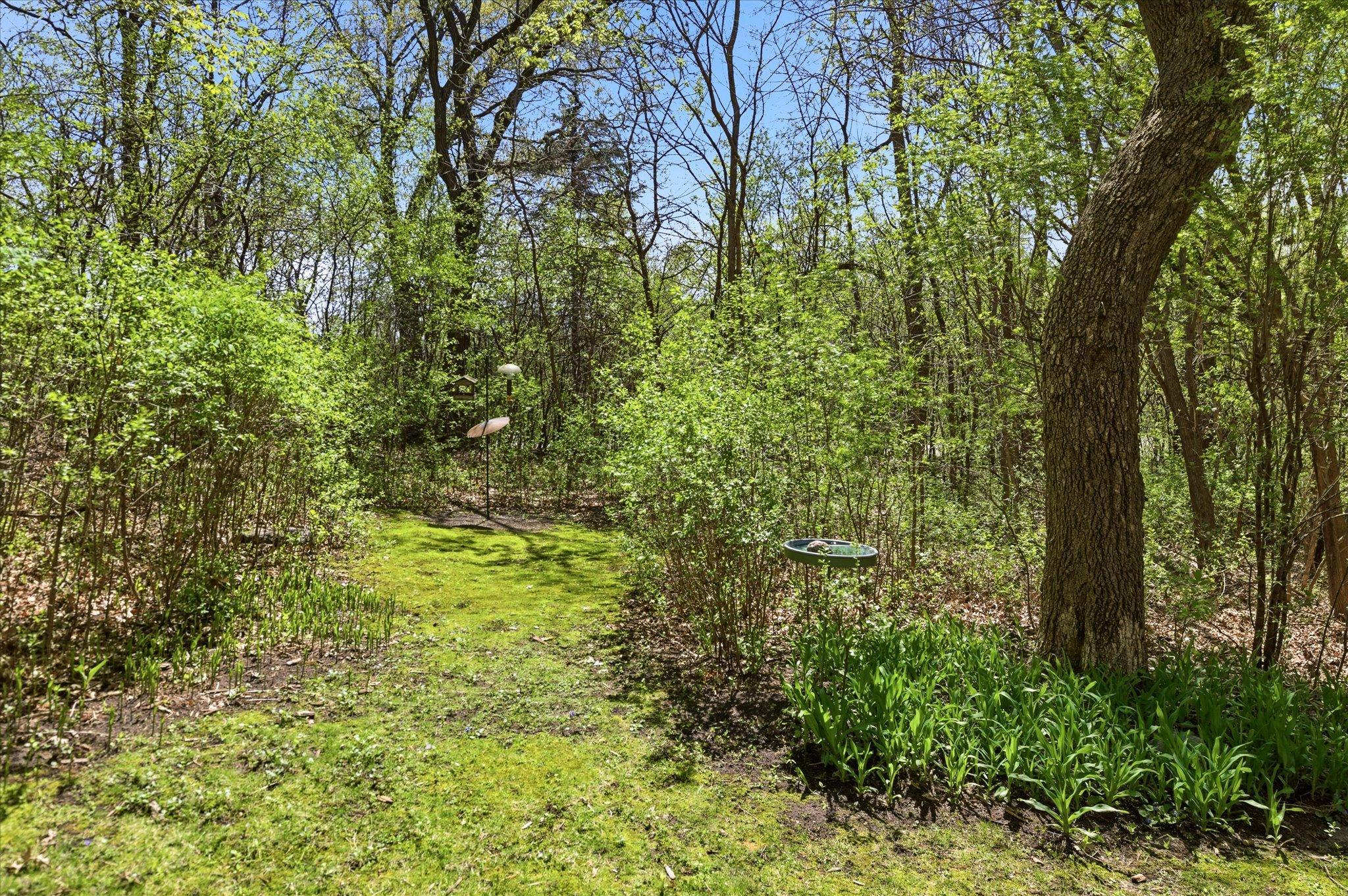 Enjoy the wildlife in the woods