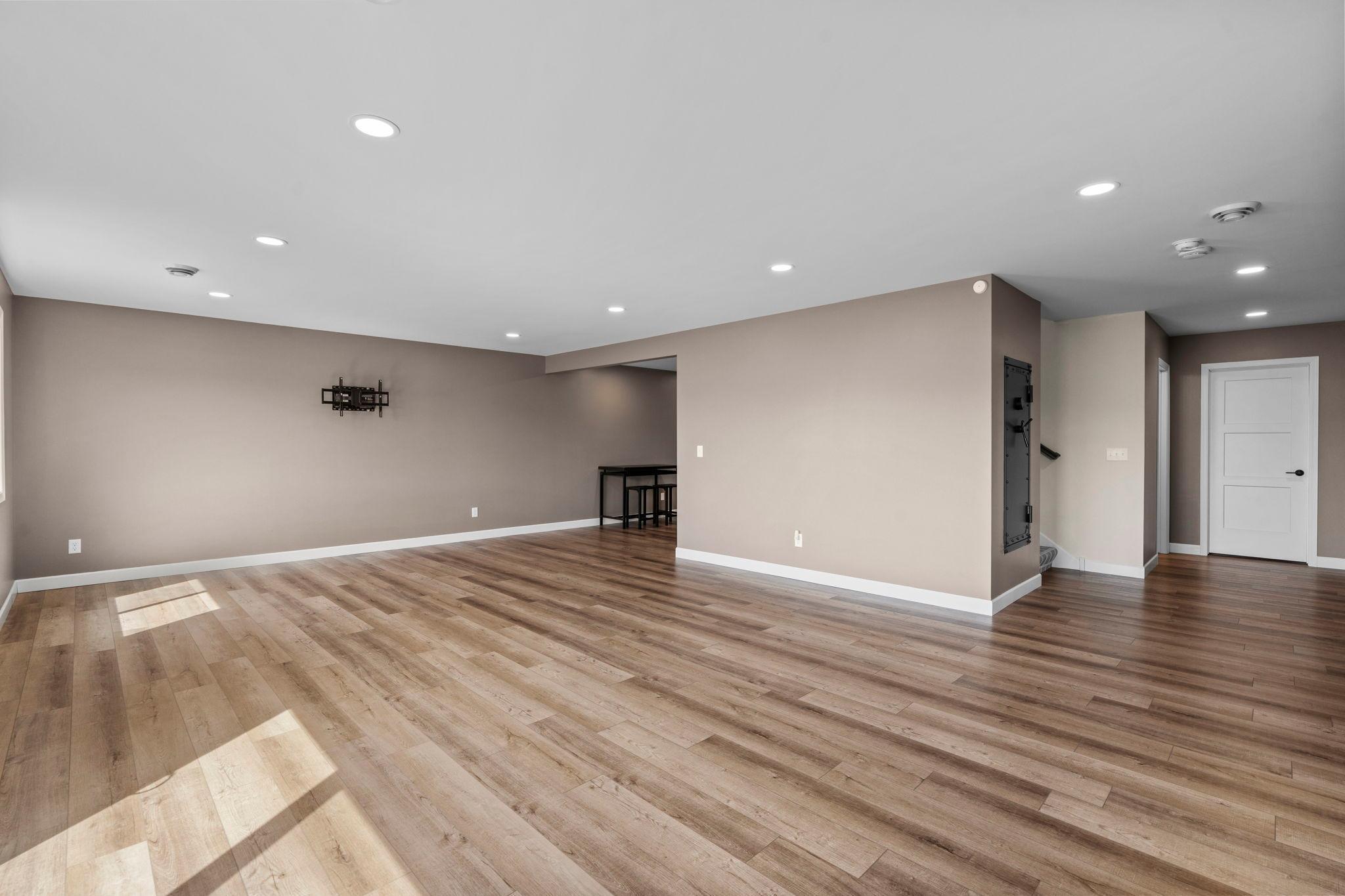 Lower level family room