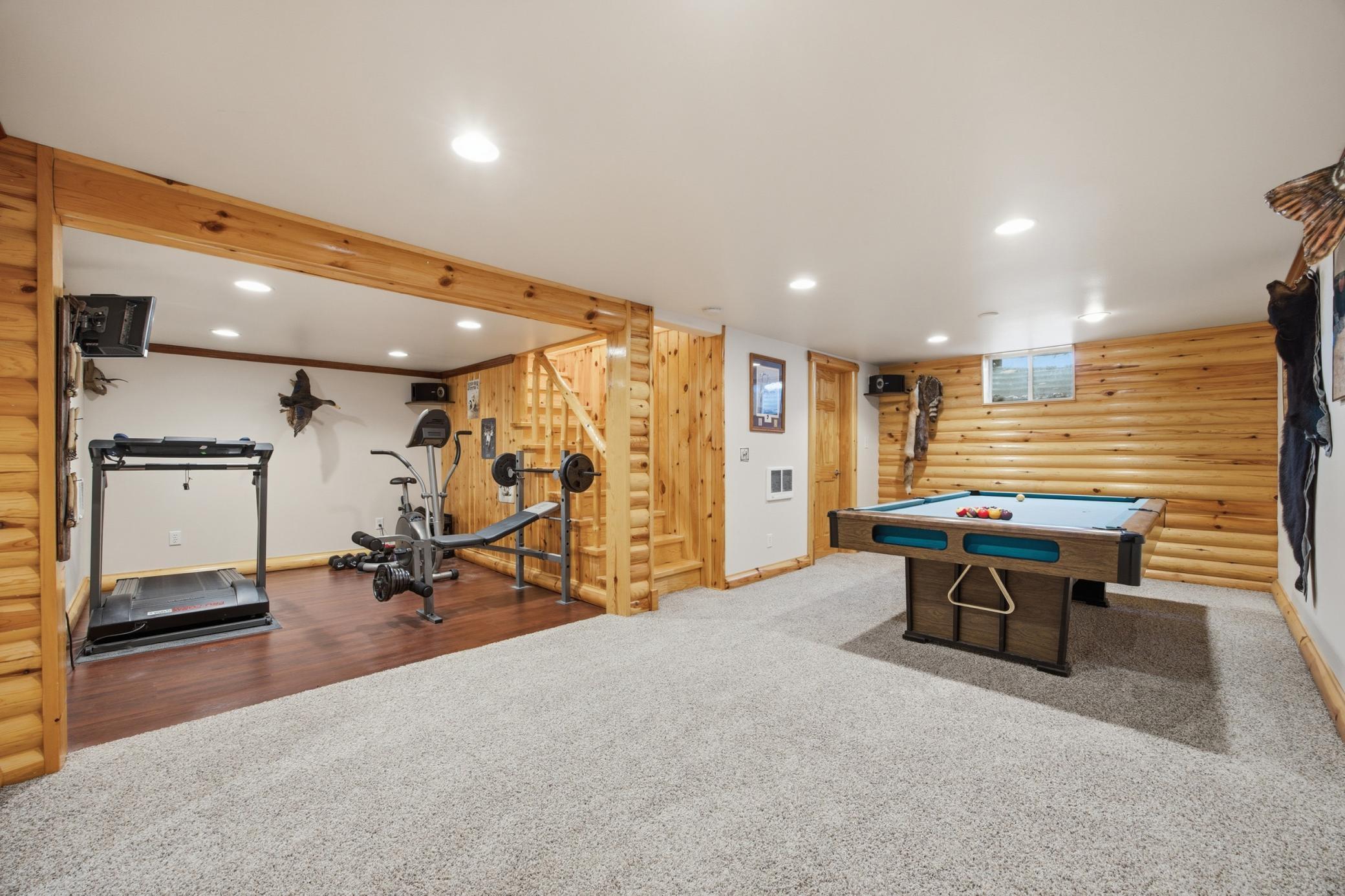 Basement Family Room