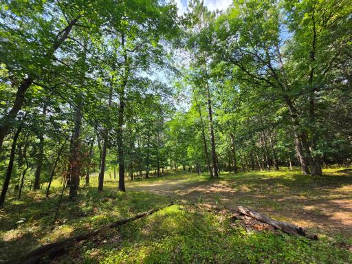 xxx County Road H Road, Danbury, WI 54830