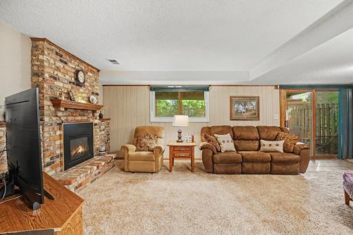 Another vantage point of family room. Lower level walks out to a patio