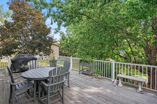 Huge maintenance-free Trex decking and railings added ~ 2018