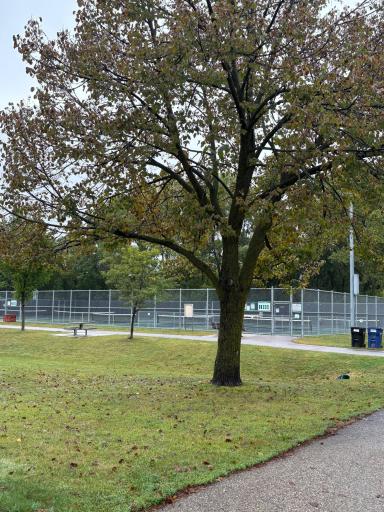 Tennis or Pickleball anyone?