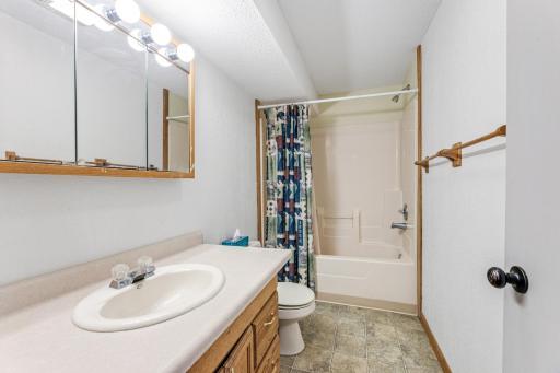 Lower level full bath, great for guests