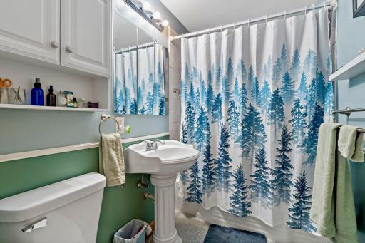 316 Layman Lane, Bloomington, MN 55420