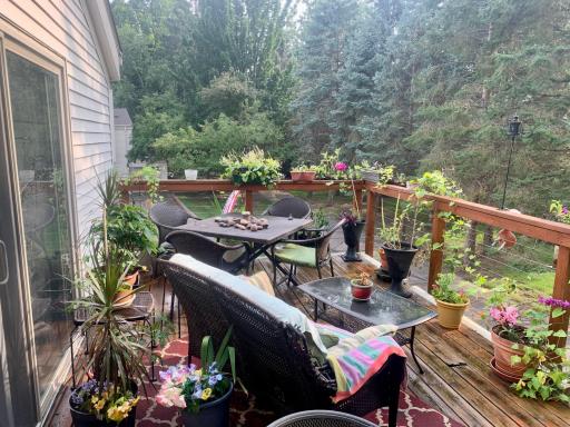 128 Avignon Court, Saint Paul, MN 55125