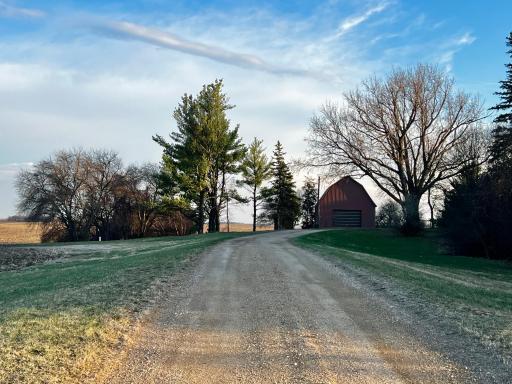 View of the farm site from the driveway.