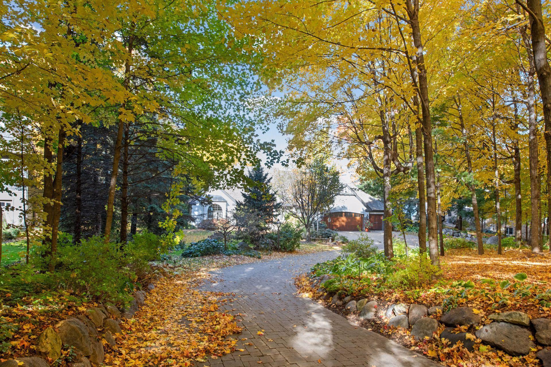 House begins to peak through the woods, upon final approach