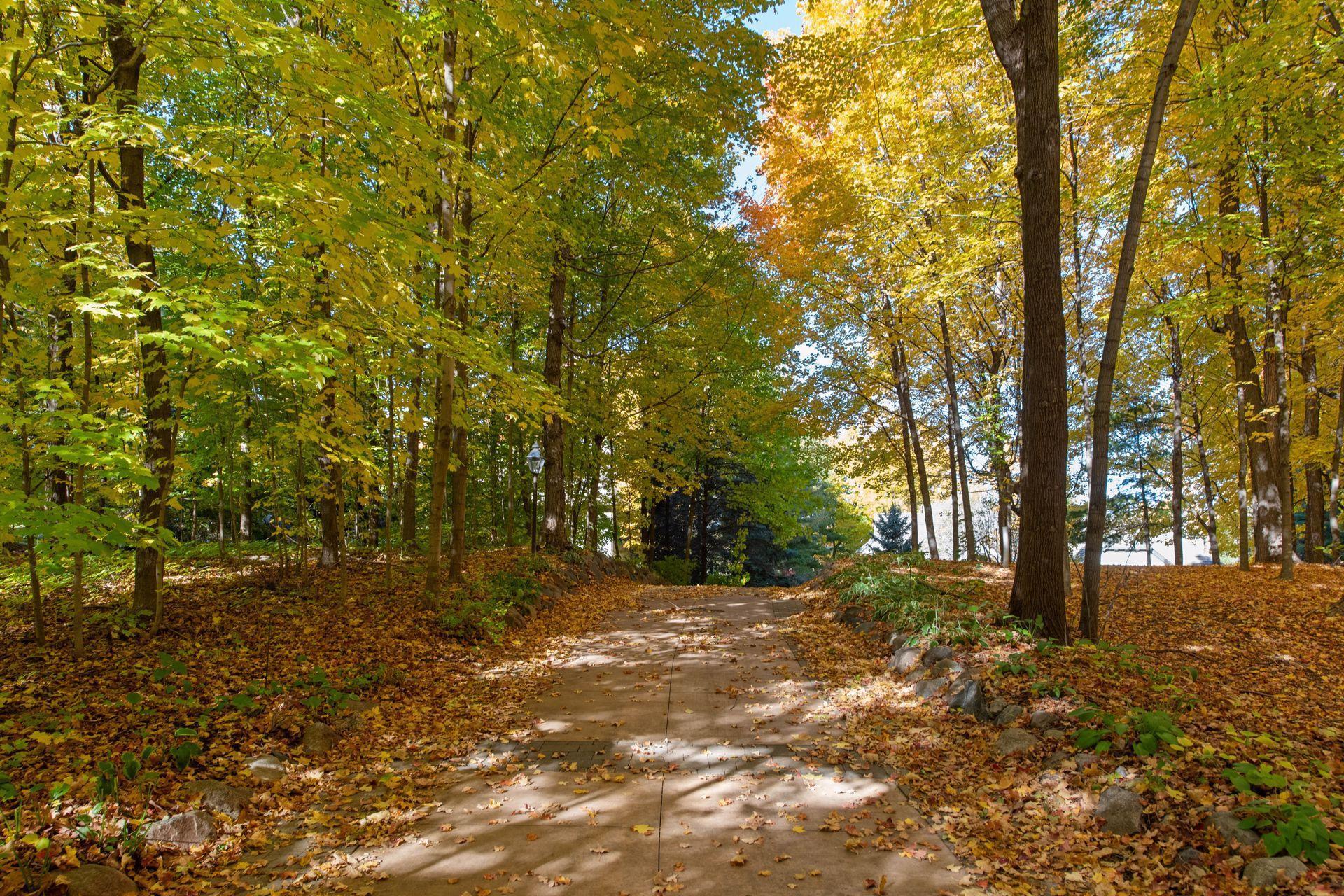 Amazing approach, as you begin to descend to 6425 Virginia Drive