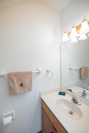 1858 Tiffany Cove Lane SW, Rochester, MN 55902