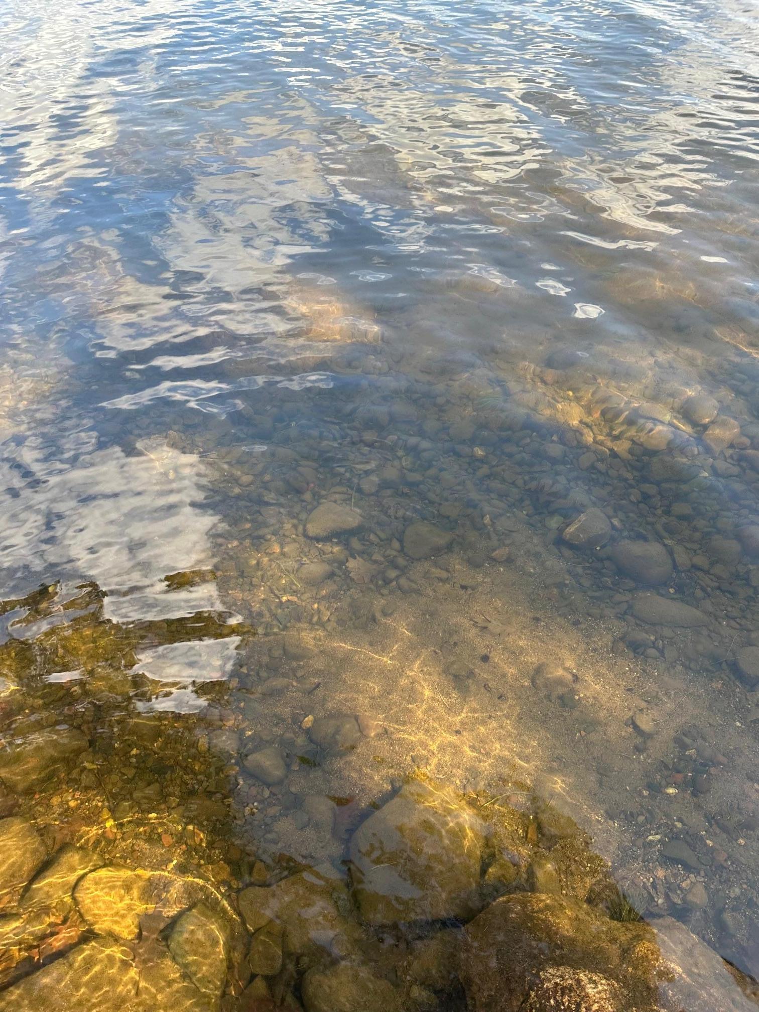 IMG_7975.jpeg