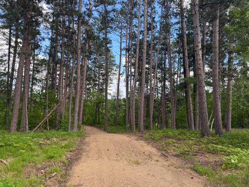 Enjoy you private drive through the pines to a very private setting.
