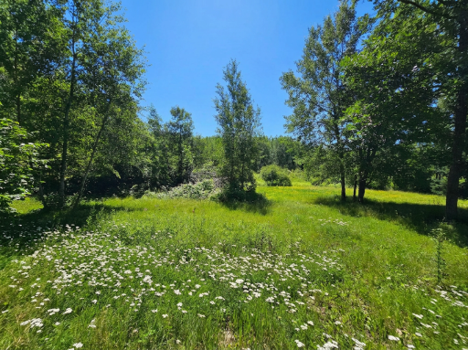 40776 Mary Lake Road, Emily, MN 56447