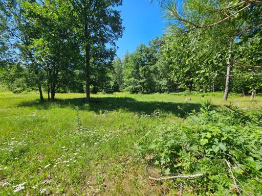 40776 Mary Lake Road, Emily, MN 56447