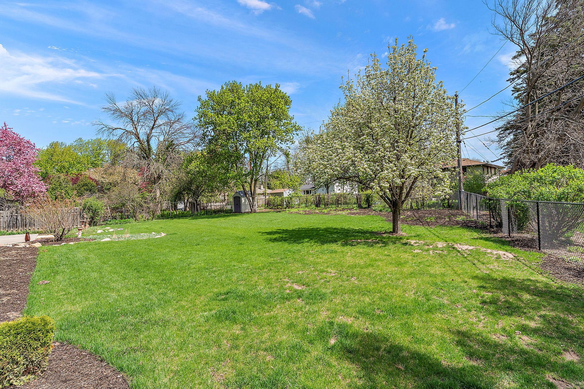 A view of the South side of the yard.