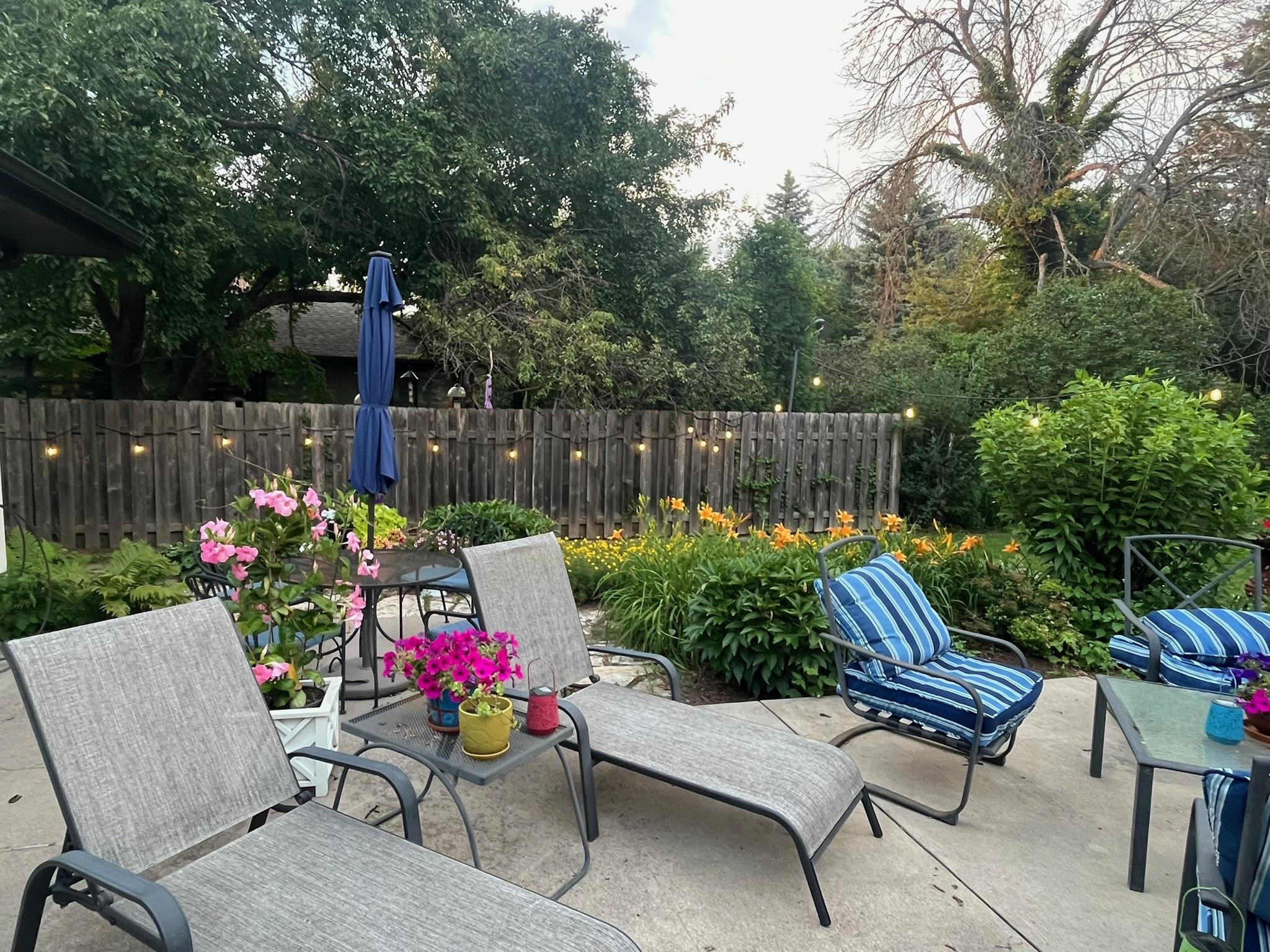 Patio area living it's best life.