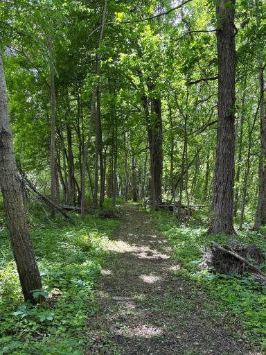 51692 385th Street, New York Mills, MN 56567