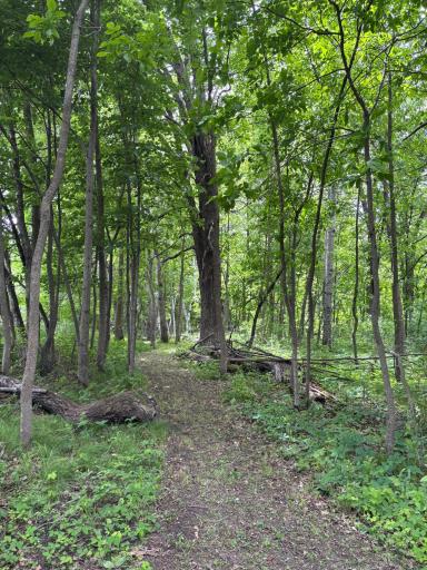 51692 385th Street, New York Mills, MN 56567