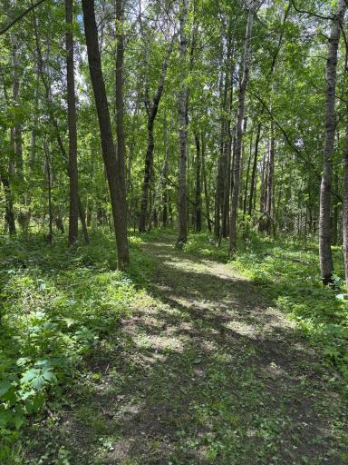 51692 385th Street, New York Mills, MN 56567