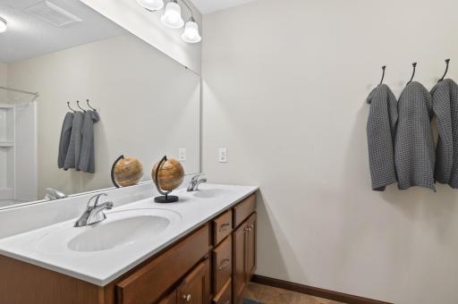 1169 Rosemary Lane, Chaska, MN 55318