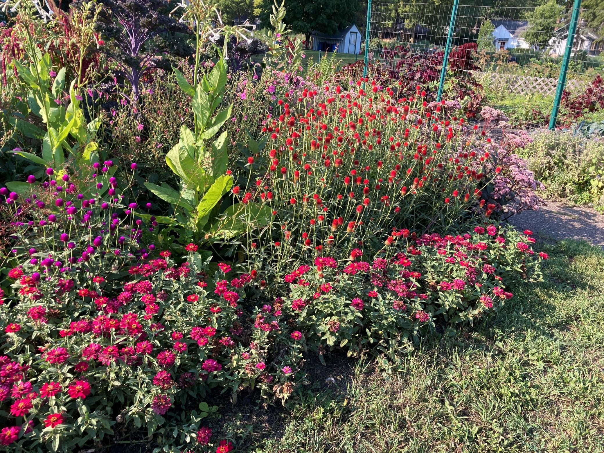 Full & vibrant flower garden to attract those pollinators!