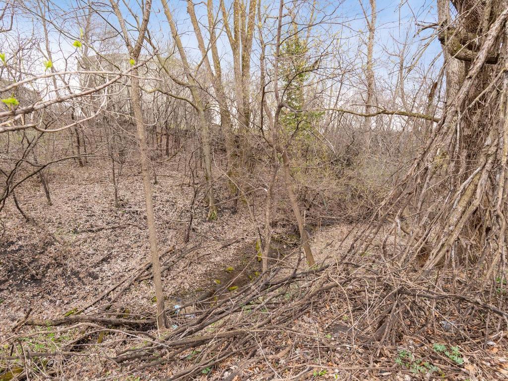 Natural wooded habitat to explore and watch for wildlife!