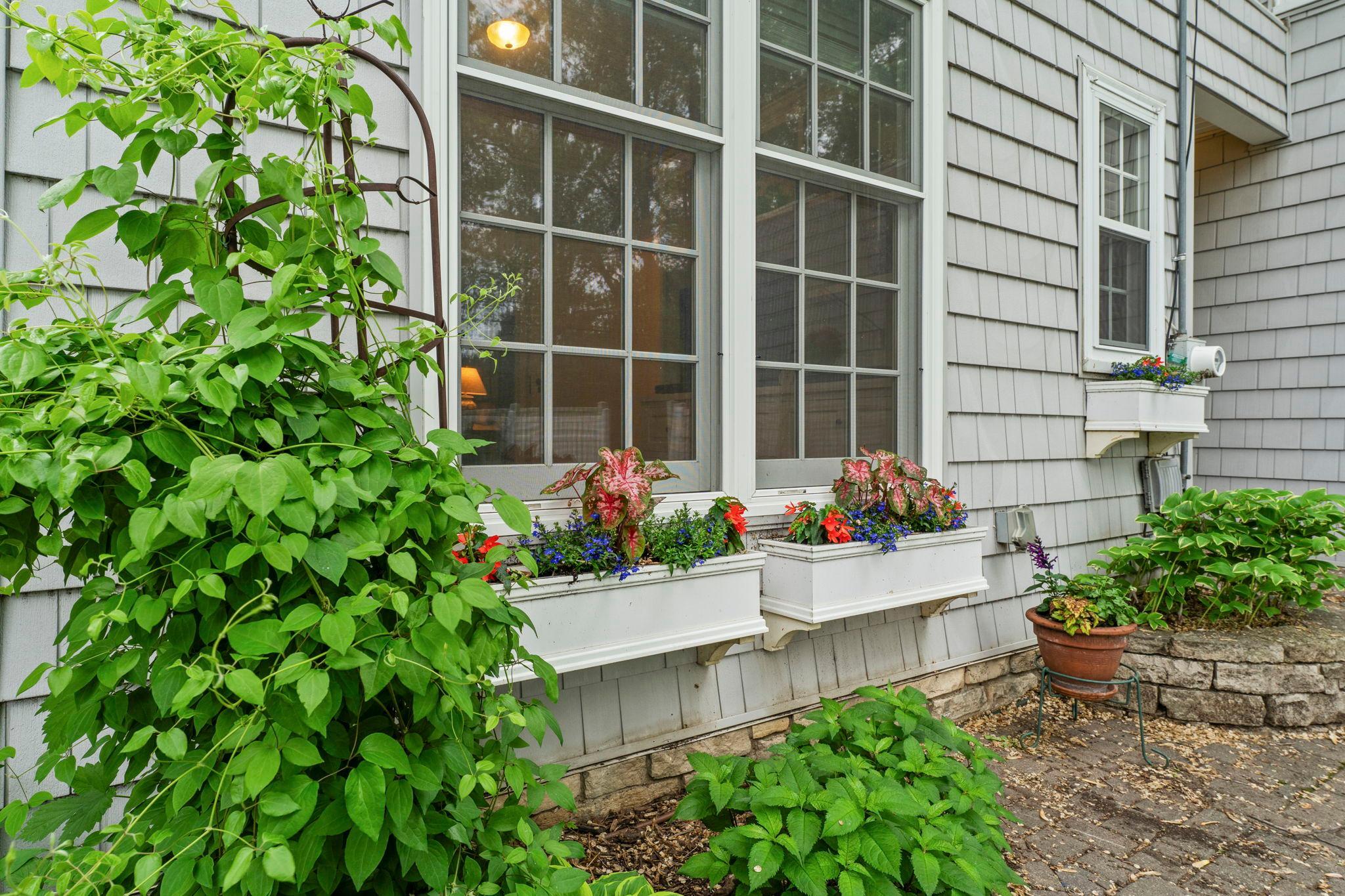 Gorgeous window boxes