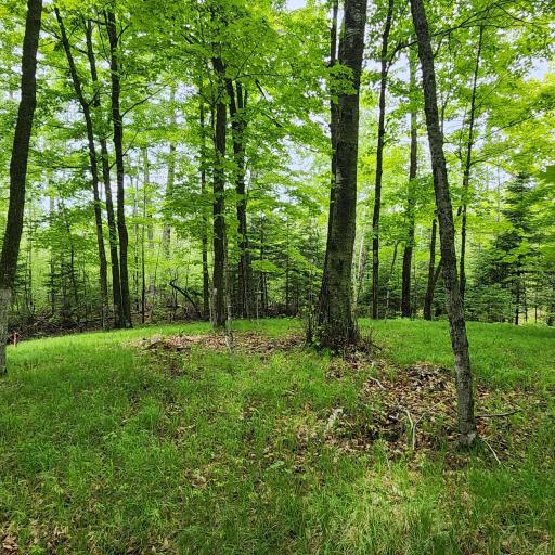 3157 4th Avenue NW, Longville, MN 56655