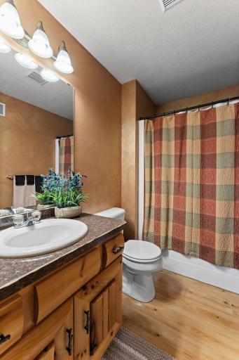 1695AA White Ash Way, Balsam Lake, WI 54810