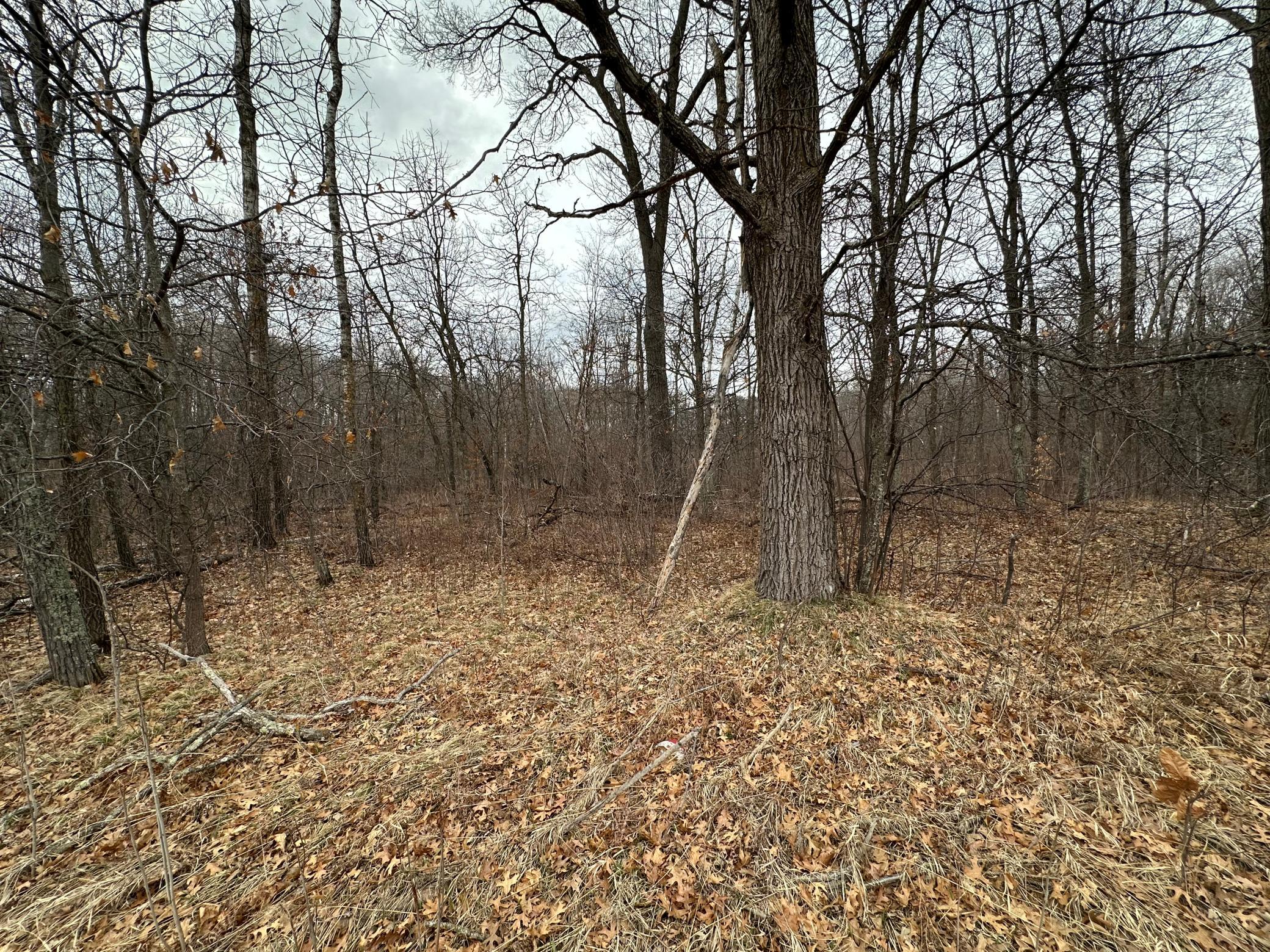 Property photo for Lot 25 County Rd 11, Breezy Point, MN 56472