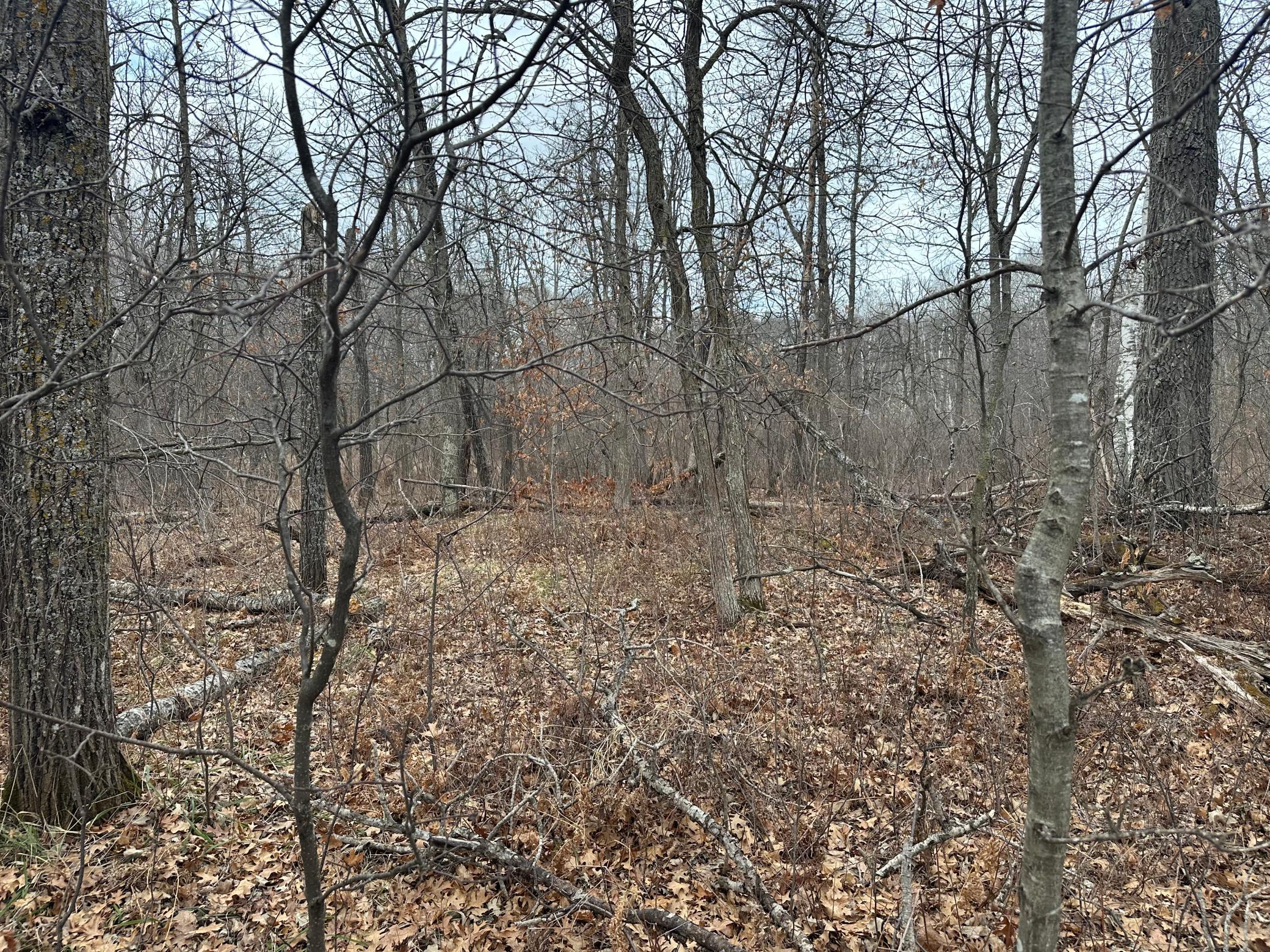 IMG_1912.jpeg