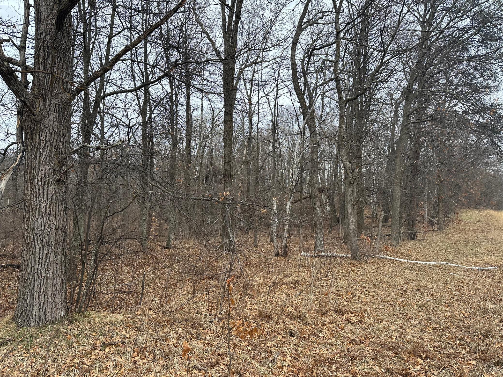 IMG_1908.jpeg