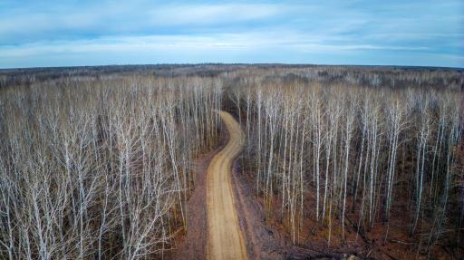 TBD Sunrise Lane NW, Bemidji, MN 56601