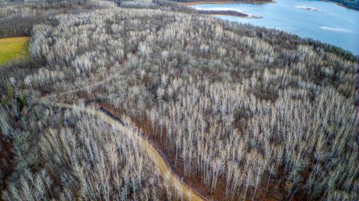 TBD Sunrise Lane NW, Bemidji, MN 56601