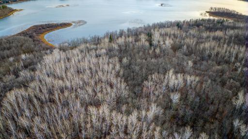 TBD Sunrise Lane NW, Bemidji, MN 56601