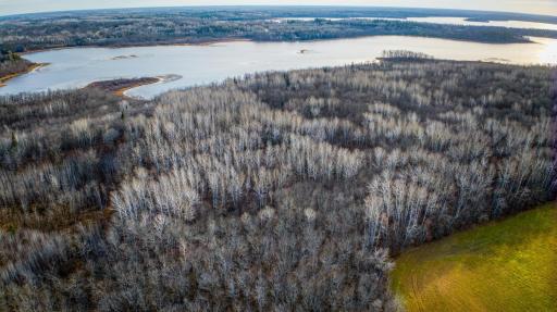 TBD Sunrise Lane NW, Bemidji, MN 56601