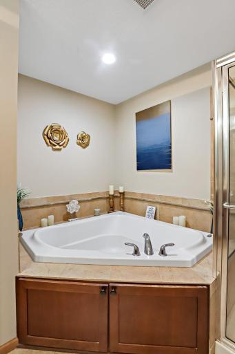 7568 Arbor Lane, Savage, MN 55378