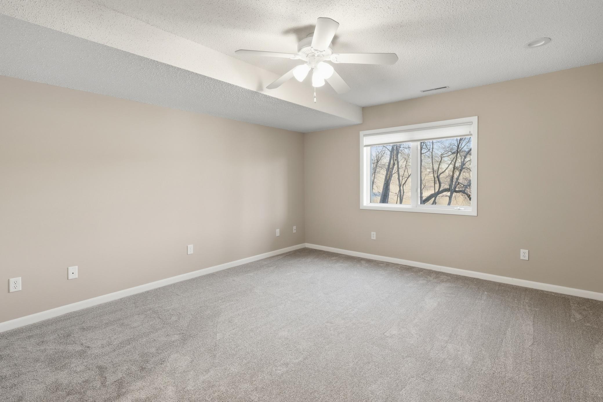 Lower level 3rd bedroom