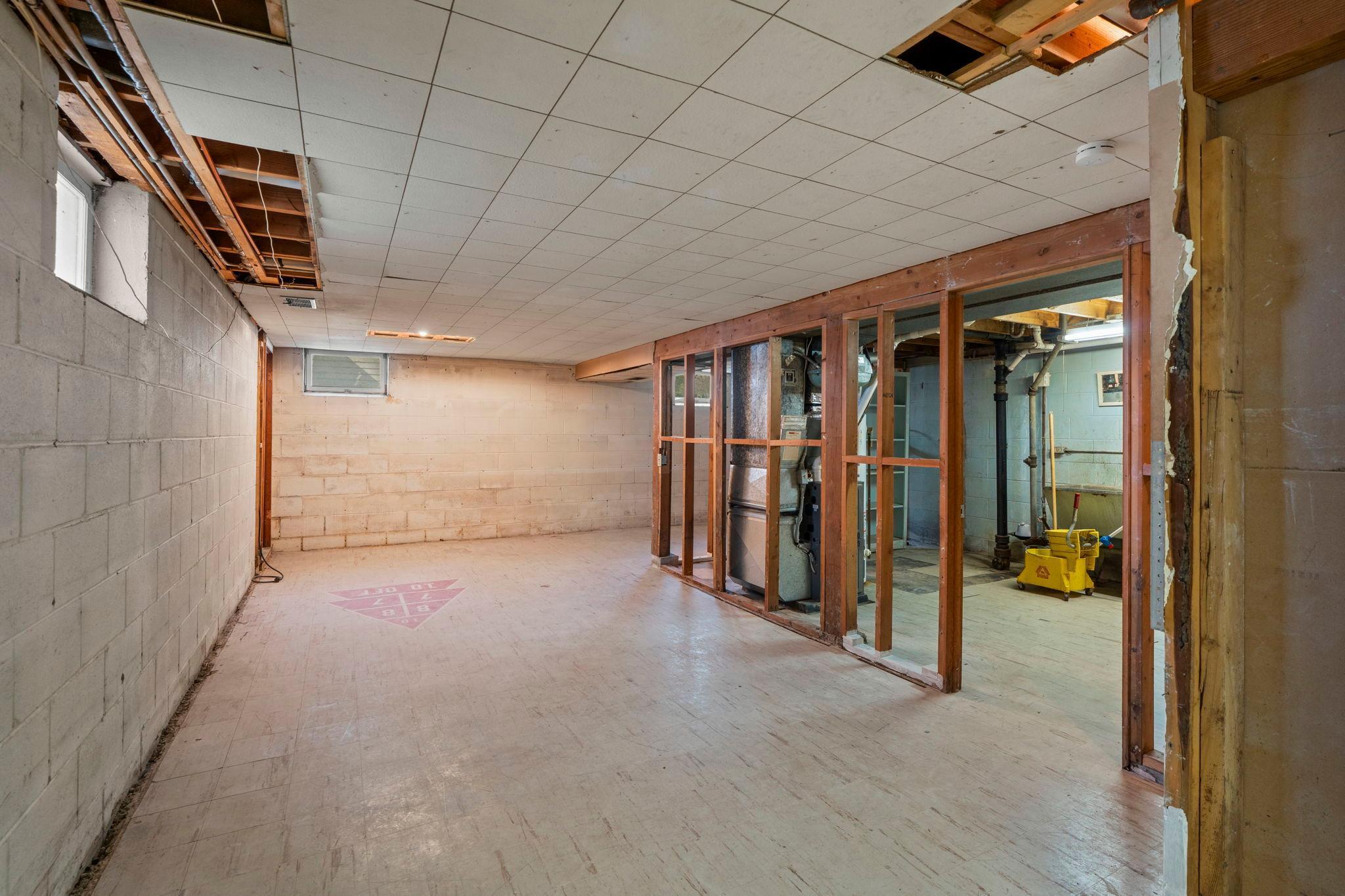 Unfinished lower level