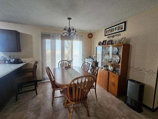 Dining room/patio doors