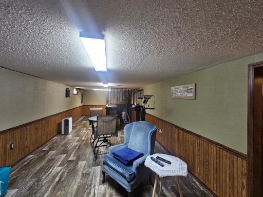 Downstairs family room