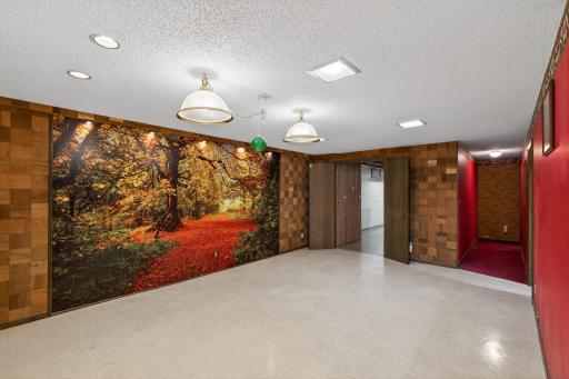 Amusement Room with Pool Table lighting and wet bar