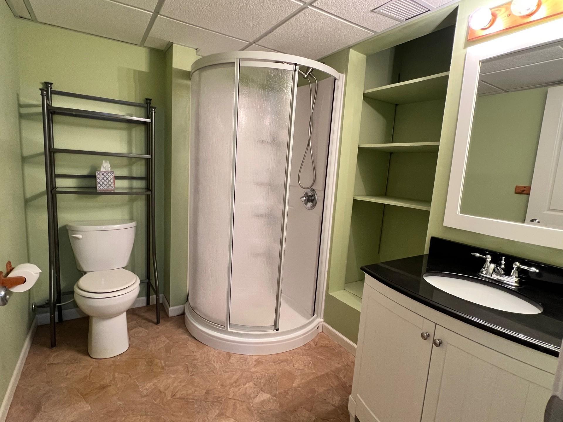 Bathroom #3 - Lower level