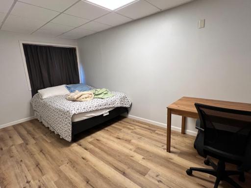 Office or potential Bedroom #5 - lower level