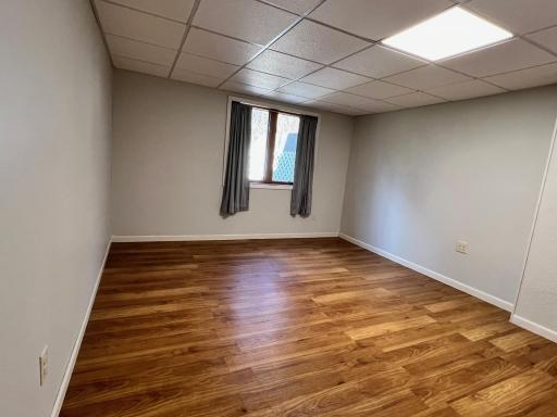 Bedroom #4 - lower level