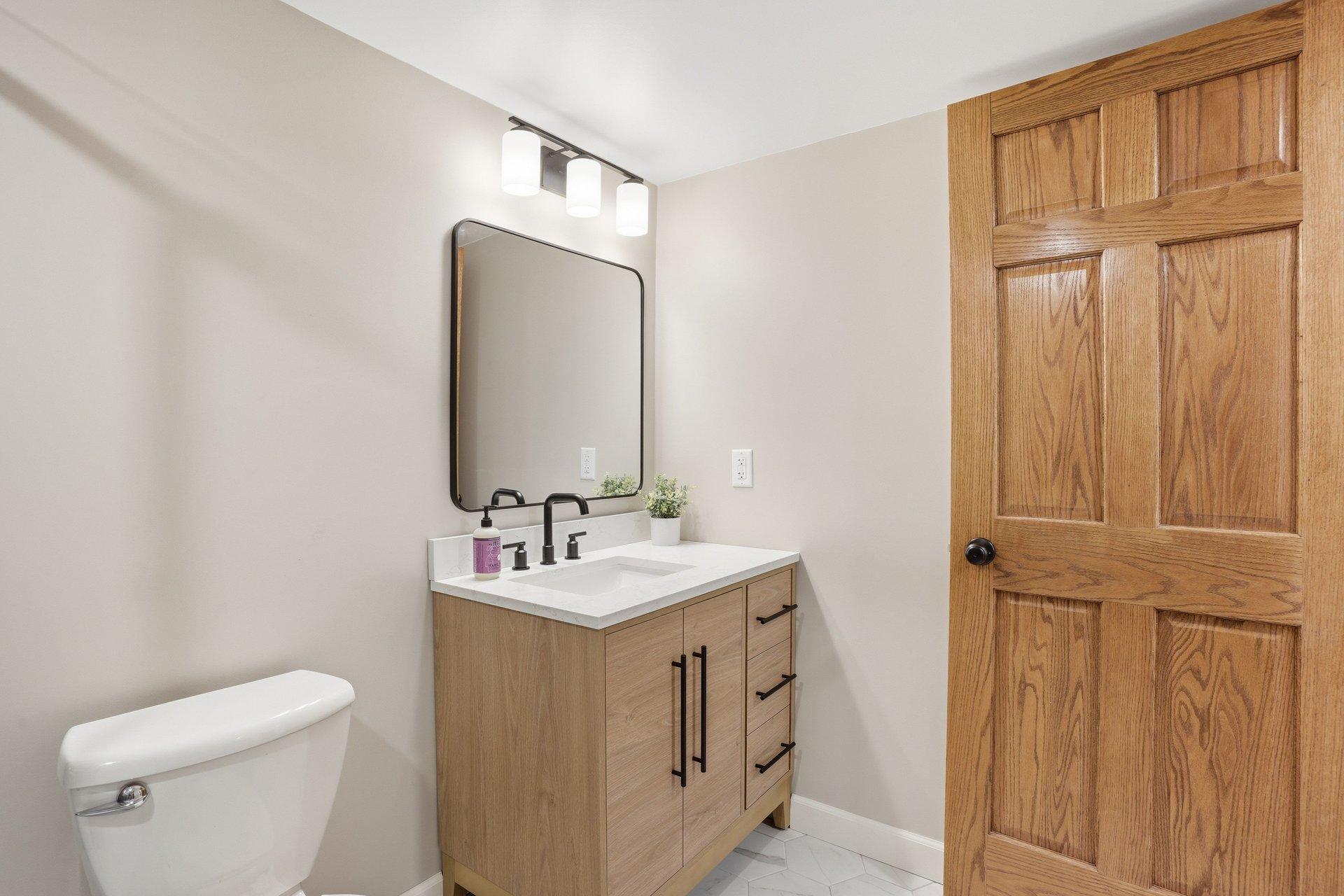 Lower level bathroom