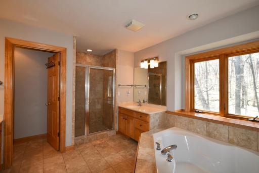private primary bath-walk-in shower & natural light